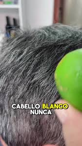 Cabello blanco nunca más: receta natural | TikTok