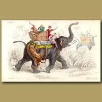 The Elephant Of India, Tiger Hunting ...