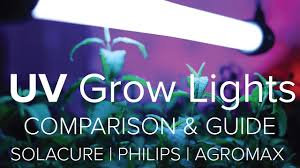 We did not find results for: Uv Grow Light Comparison Uv Grow Light Guide Solacure Philips Agomax Youtube