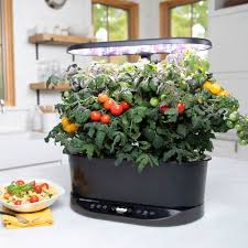 31 Indoor Gardening Ideas For Small Apartments Tiny Partments