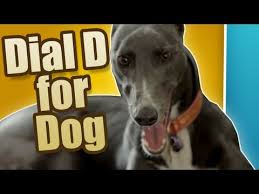 Dial D For Dog Greyhounds The Dogumentary Episode 12 Greyhound Dogs Pets