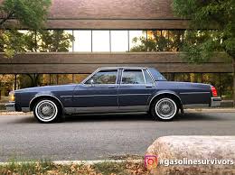 Image result for Rhone Blue 1983 Colt