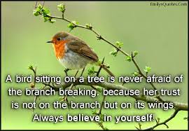 A bird sitting on a tree is never afraid of the branch breaking, because its trust is not on the branch but on its own wings. —author unknown. A Bird Sitting On A Tree Is Never Afraid Of The Branch Breaking Because Her Trust Is Not On The Branch But On Its Wings Always Believe In Yourself Popular Inspirational