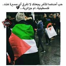 Image May Contain 1 Person Arabic Quotes Arabic Love Quotes Algerian