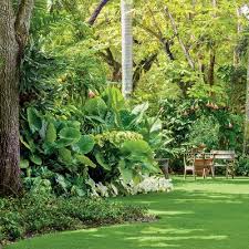 Magnificent Miami Garden Tropical Landscaping Tropical Backyard Beautiful Gardens