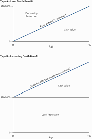 Mortality Risk Management Individual Life Insurance And