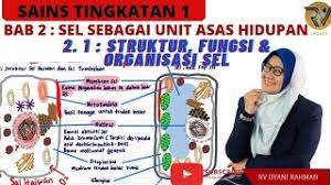 Sains tingkatan 2sel sebagai unit asas kehidupannota dan latihan bab 2. Sains Tingkatan 1 Bab 2 Sel Sebagai Unit Asas Hidupan Subtopik 2 1 Struktur Fungsi Organisasi Youtube