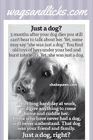 Pets In Heaven Dog Grief Pet Grief Dog Quotes