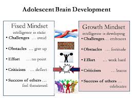 Growth Mindsets Linder Educational Coaching Tutoring In