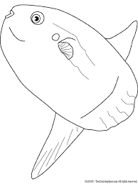 Make a coloring book with sea life sunfish for one click. Ocean Sunfish Coloring Page Audio Stories For Kids Free Coloring Pages Colouring Printables