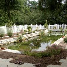 Pool To Pond Conversion Koi Pond Natural Swimming Ponds Natural Pond