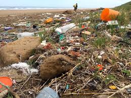 There is often a focus on consumers to responsibly reduce the amount of plastic they consume and dispose of it properly. February 28 2020 Coastal Care