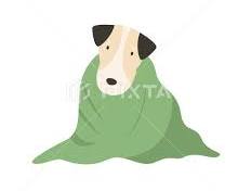 towel with a pet's illustration on itの画像