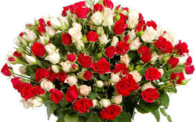 ирина круг песня букет из белых роз скачать бесплатно Skachat Buket Iz Belyh Roz Skachat