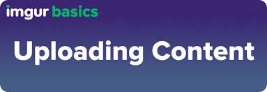 Die wichtigsten eigenschaften von ingwer wollen wir nun im überblick darstellen, damit du siehst, warum. Uploading Content Imgur