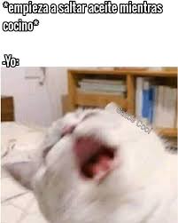 61 Me Gusta 0 Comentarios Gatos Cool Gatoscooloficial En Instagram Gatoscool Gatos Cool Memesdegatosc En 2020 Memes Divertidos Memes Comicos Memes
