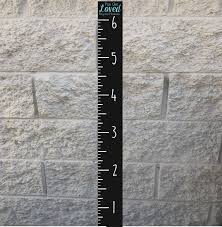 loved beyond measure growth chart paisley grace makery