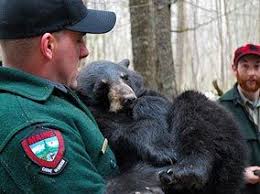North Woods Law New Hampshire Photos Animal Planet Animals Northwoods