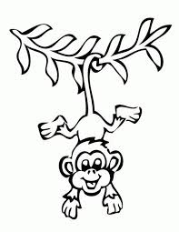 Monkey Coloring Pages Monkey Coloring Pages Printable Coloring Pages Monkey Drawing