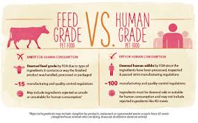 Human Grade Dog Cat Food The Honest Kitchen