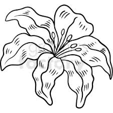 Field of flowers clipart black and white. Black And White Lily Flower Vector Clipart 411543 Graphics Factory