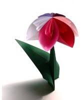 Maybe you would like to learn more about one of these? Anleitungen Zum Falten Von Origami Pflanzen Und Blumen