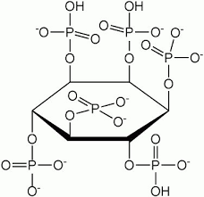 Phytic Acid Defining And Dealing With A Common Antinutrient