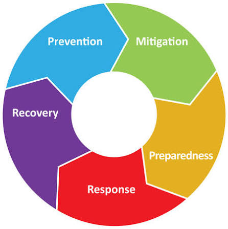 Five Steps of Emergency Management