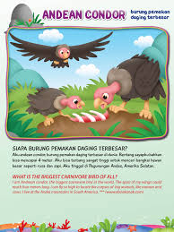 Andean Condor Burung Pemakan Daging Terbesar Hewan Burung Rusa