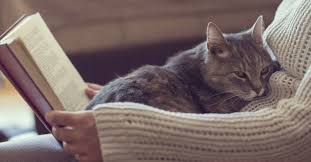 You can overdose on ibuprofen. Cat Allergies Causes Symptoms And Treatments
