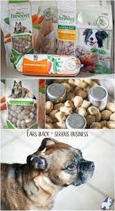 Fresh Dog Food Creates A Feasting Frenzy Dog Food Recipes Healthy Dog Food Recipes Food Animals