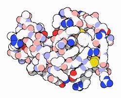 Pdb 101 Molecule Of The Month Lysozyme