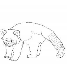 Red Panda Coloring Pages Free 75vp0834 Kids Coloring Book Panda Coloring Pages Puppy Coloring Pages Animal Coloring Pages