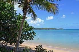 imagenes de clima tropical seco boat tours island hopping san juan island