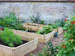 That's why my website is a way to garden, not the way to garden. note: How To Start A Sustainable Home Garden Active