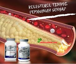 Selama ini kalau kita mendengar kata 'kolesterol' maka yang mengkonsumsi suplemen untuk menurunkan kadar kolesterol. Makanan Yang Membantu Menurunkan Kolesterol Dalam Darah Shidarahmat