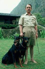 Is an american crime drama television series starring tom selleck as thomas magnum, a private investigator (p.i.) living on oahu, hawaii. Jonathan Quayle Higgins Iii Magnum P I Wiki Fandom