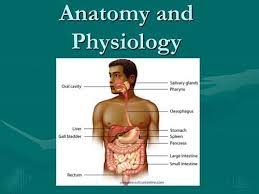 Online Physiology Degree College Learners