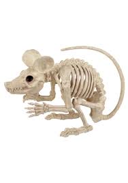 19 Inch Attack Rat Skeleton