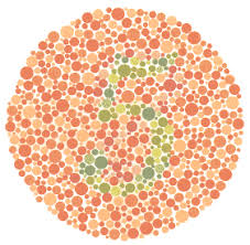 ishihara test for color blindness