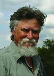 Slow Down for Manatees: Arnosky, Jim: 9780399241703: Amazon.com: Books