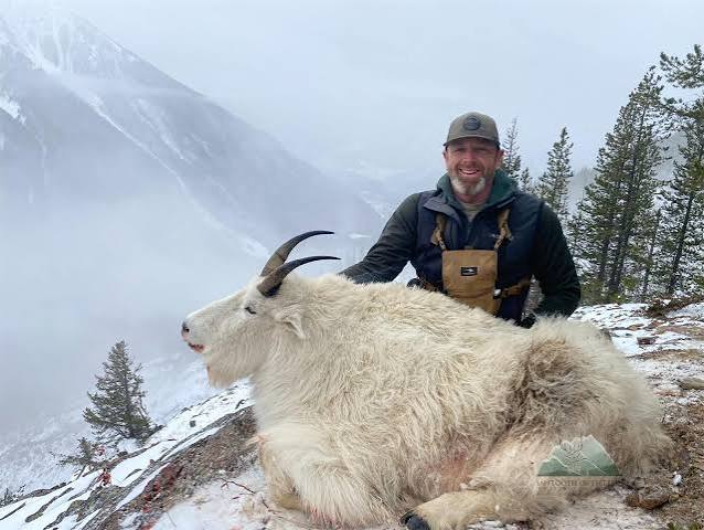 Mountain Goat Hunts in BC's High Alpine Wilderness | Sawtooth Outfitters