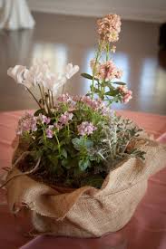 Maybe you would like to learn more about one of these? Vintage Shabby Chic Wedding Charleston Sc Custom Potted Plants Wrapped In Burlap For Alham Potted Plant Centerpieces Plant Centerpieces Wedding Flower Design