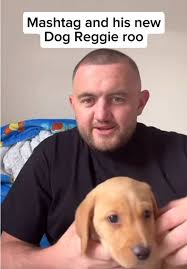 Dds Carlton Vs Dogs Recatiin