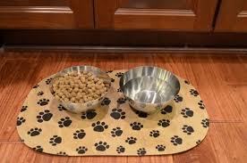 With sean astin, matthew lillard, brian dennehy, shannon elizabeth. Diy Pet Food Mat Using A Dollar Store Placemat Mod Podge Rocks Pet Food Mat Food Animals Dog Food Recipes