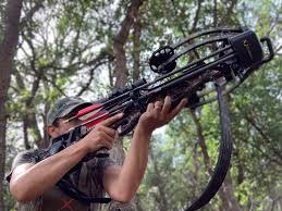 We did not find results for: Best Crossbow Under 1 000 2021 Review Tactical Huntr