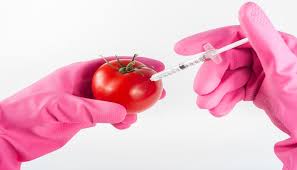 The process of scientifically changing the genes of plants and animals in order to create forms of them that are less likely to get diseases, will grow faster, etc.: Genetic Modification Many Answers