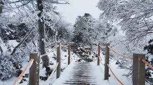 We did not find results for: Twitter à¤ªà¤° Yusry Aizat Annyeonghaseyo Gunung Hallasan Berketinggian 1 950 Mdpl Merupakan Gunung Tertinggi Di Korea Selatan Dan Terletak Di Tengah Pulau Jeju Twt Outdoor Https T Co Ukbejpv1b0