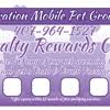 Maybe you would like to learn more about one of these? Aussie Pet Mobile Locations Hours Near Orlando Fl Yp Com