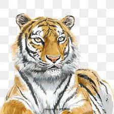 Hand Painted Elements Of Tiger And Beast Fierce And Fierce Ferocious Animal Png Transparent Clipart Image And Psd File For Free Download Animal Clipart Tiger Images Cat Background